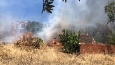 MUĞLA (AA) – Muğla'nın Bodrum ilçesinde otluk alanda başlayıp ormana