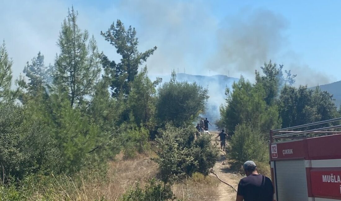 MUĞLA (AA) – Muğla'nın Bodrum ilçesinde makilik alanda çıkan yangın,