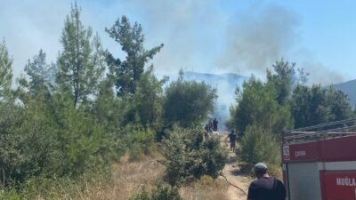 MUĞLA (AA) – Muğla'nın Bodrum ilçesinde makilik alanda çıkan yangın,