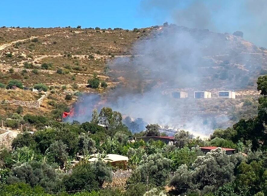 MUĞLA (AA) – Muğla'nın Bodrum ilçesinde makilik alanda çıkan yangına