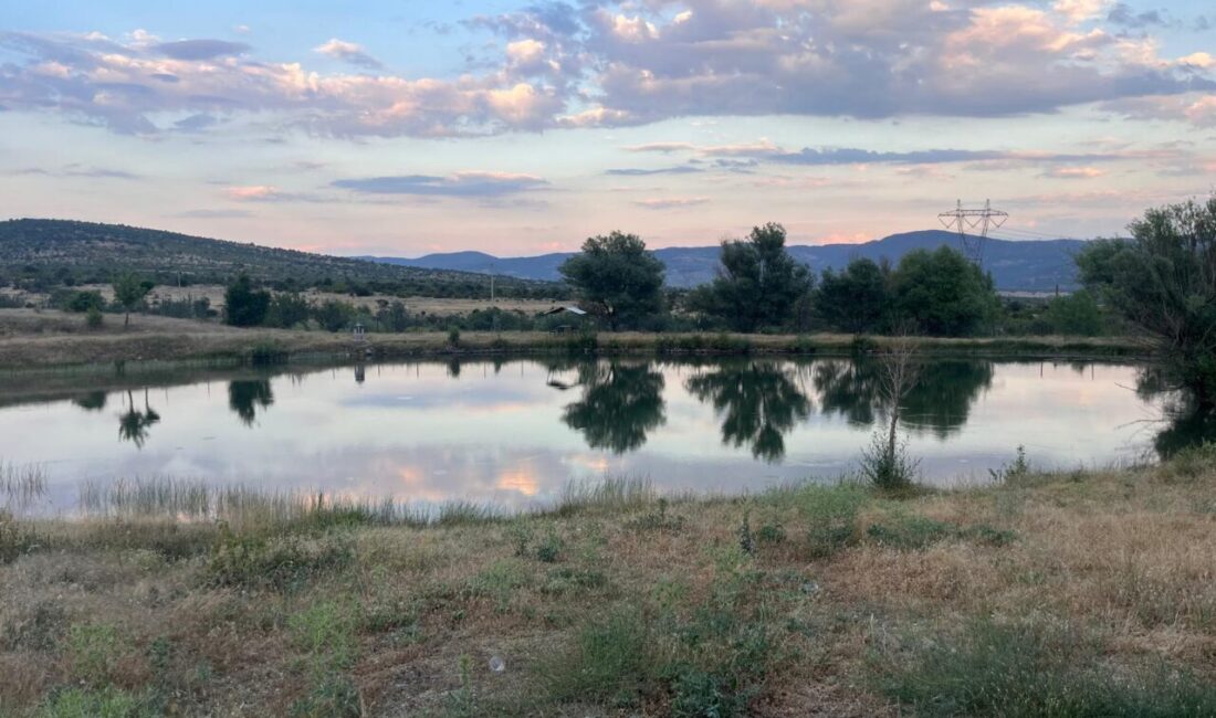 BOLU (AA) – Bolu'nun Kıbrıscık ilçesinde serinlemek için girdiği gölette