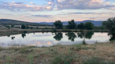 BOLU (AA) – Bolu'nun Kıbrıscık ilçesinde serinlemek için girdiği gölette