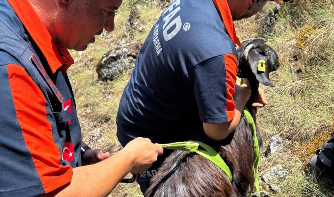BURDUR (AA) – Burdur'un Bucak ilçesinde dağlık alanda mahsur kalan