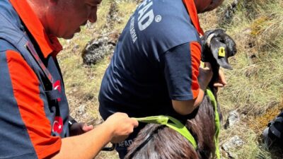 BURDUR (AA) – Burdur'un Bucak ilçesinde dağlık alanda mahsur kalan