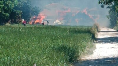 BURDUR (AA) – Burdur'da tarım arazisinde çıkan yangın, ekiplerin müdahalesi