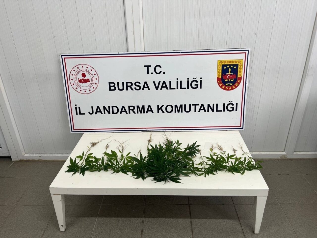 BURSA (AA) – Bursa'da jandarma ekiplerince düzenlenen uyuşturucu operasyonunda 3