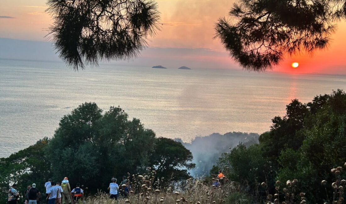 İSTANBUL (AA) – Büyükada'da plajda bulunan restoranda başlayıp ormanlık alana