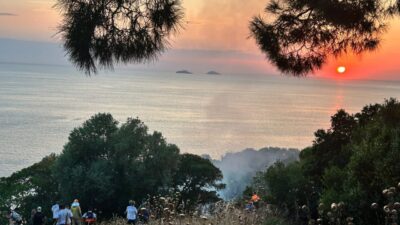 İSTANBUL (AA) – Büyükada'da plajda bulunan restoranda başlayıp ormanlık alana