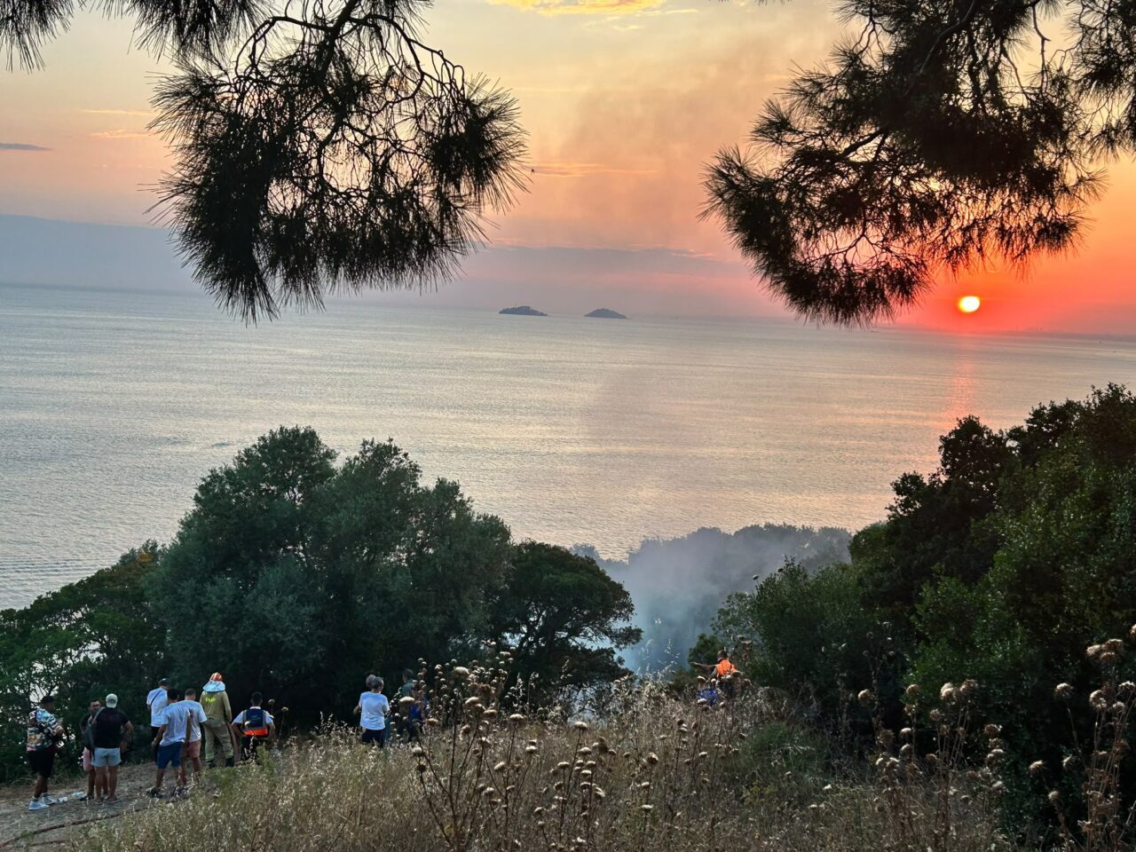 İSTANBUL (AA) – Büyükada'da plajda bulunan restoranda başlayıp ormanlık alana