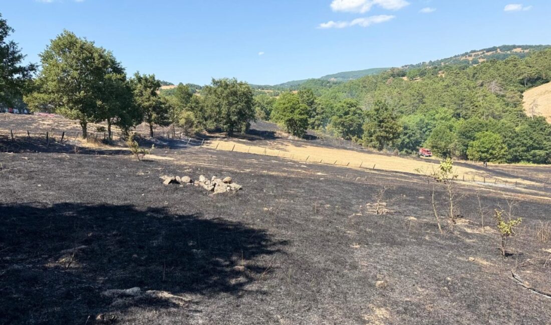 ÇANAKKALE (AA) – Çanakkale'nin Yenice ilçesinde ormanlık alanda çıkan yangın,