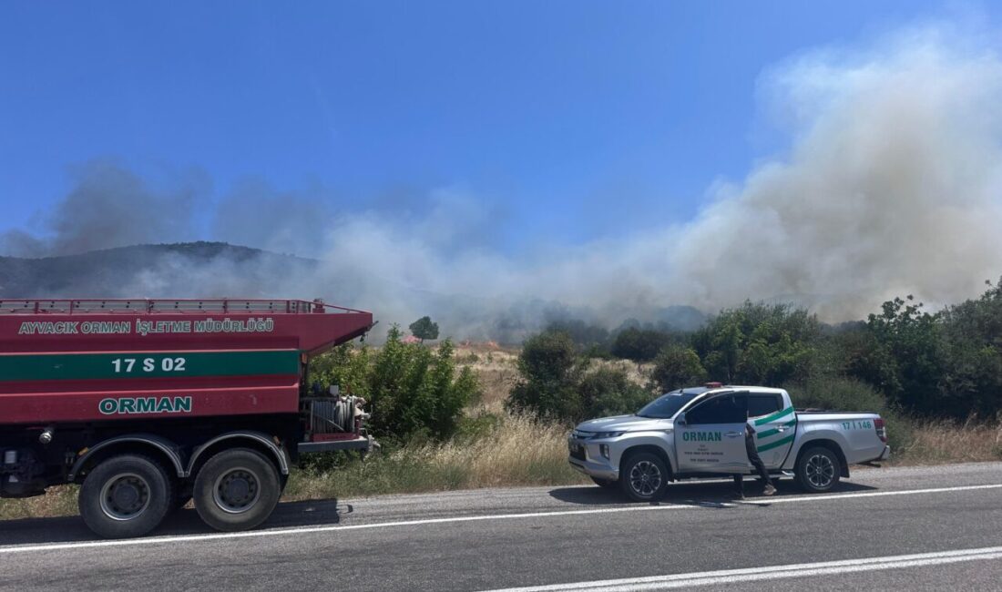 ÇANAKKALE (AA) – Çanakkale'nin Ayvacık ilçesinde ormanlık alanda çıkan yangına