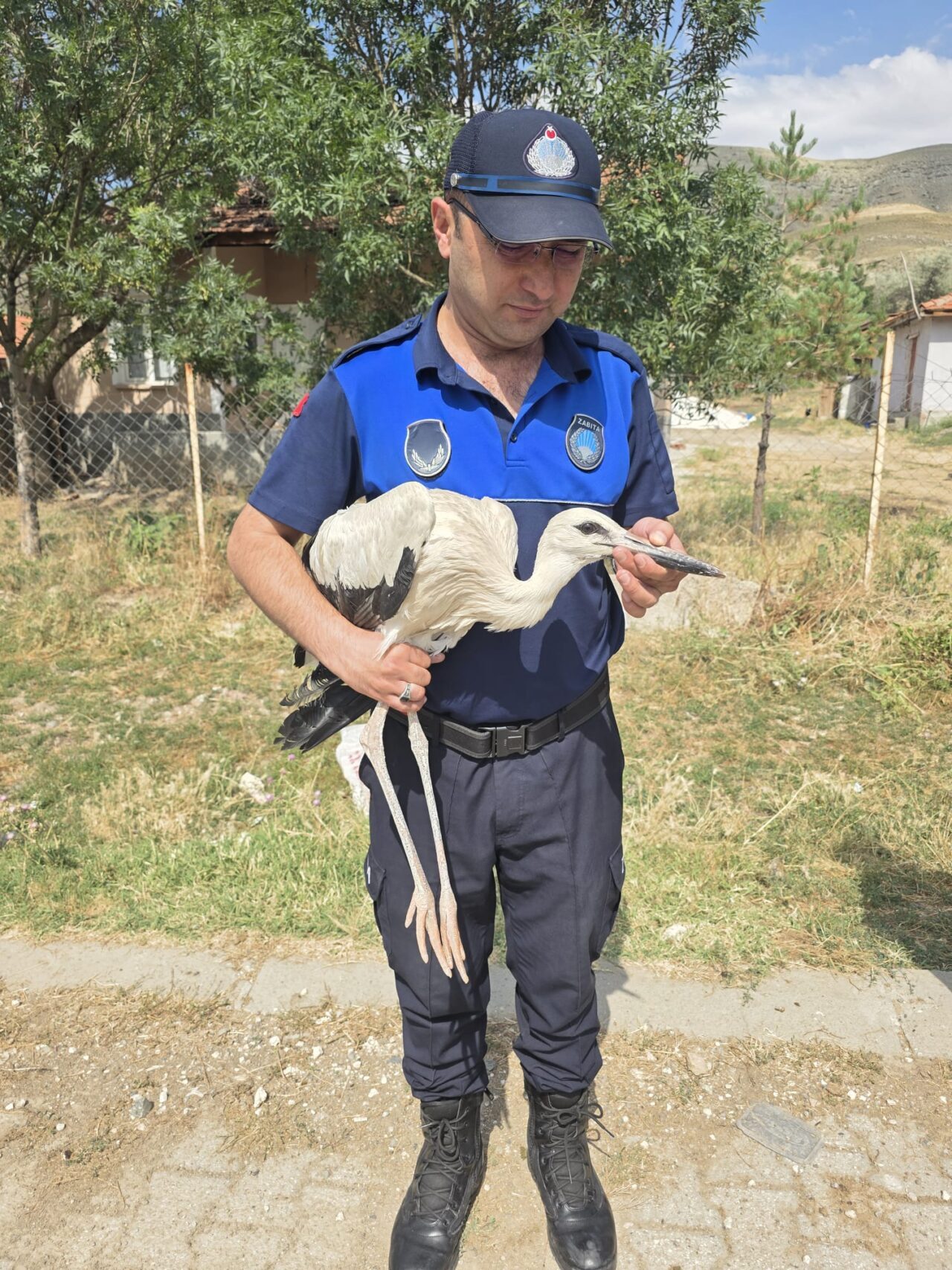 ÇANKIRI (AA) – Çankırı'da yuvasından düşerek yaralanan yavru leylek tedavi