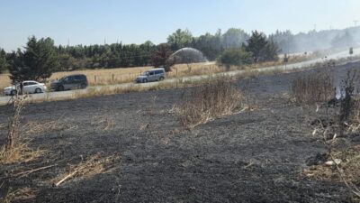 İSTANBUL (AA) – Çatalca'da otluk alanda çıkan ve ağaçlık bölgeye
