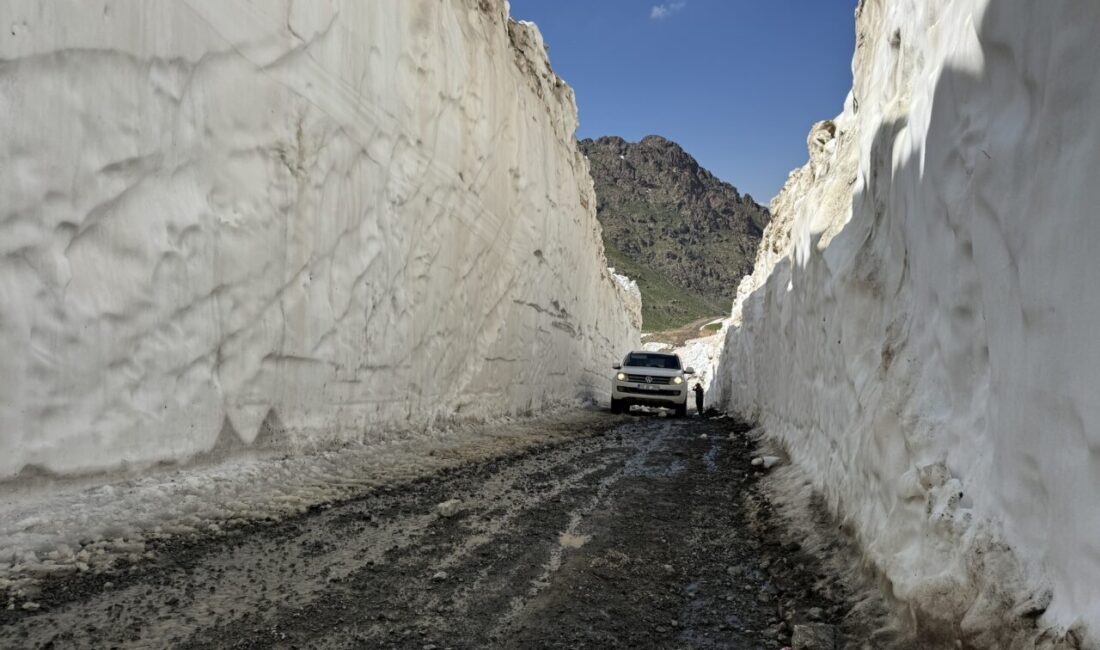 HAKKARİ (AA) – Hakkari'nin Yüksekova ilçesinde, 3 bin 400 rakımlı