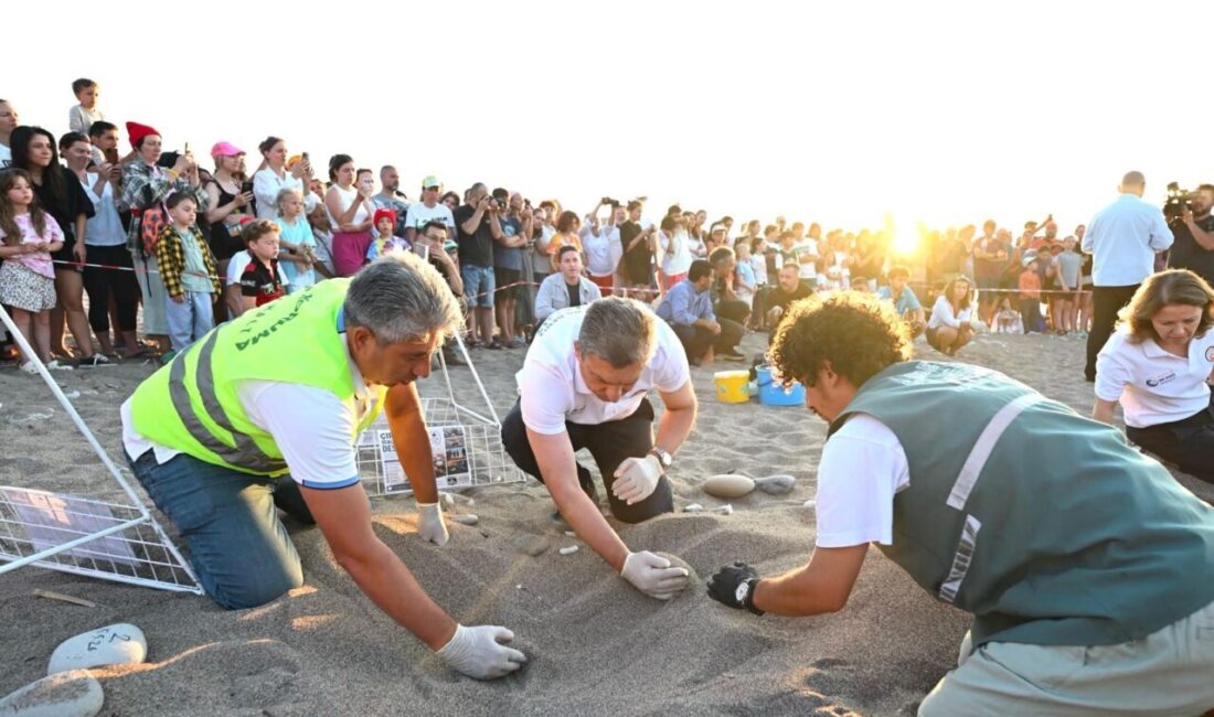 ANTALYA (AA) – Antalya Valiliği tarafından yürütülen Antalya Mavi Akdeniz