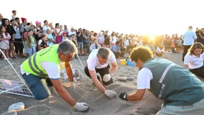 ANTALYA (AA) – Antalya Valiliği tarafından yürütülen Antalya Mavi Akdeniz