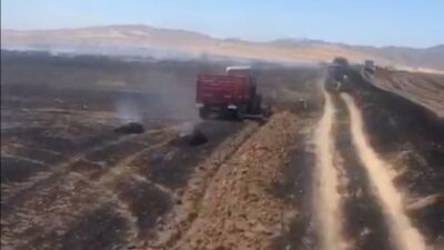 ÇORUM (AA) – Çorum'un Bayat ilçesinde çıkan yangında 300 dekar