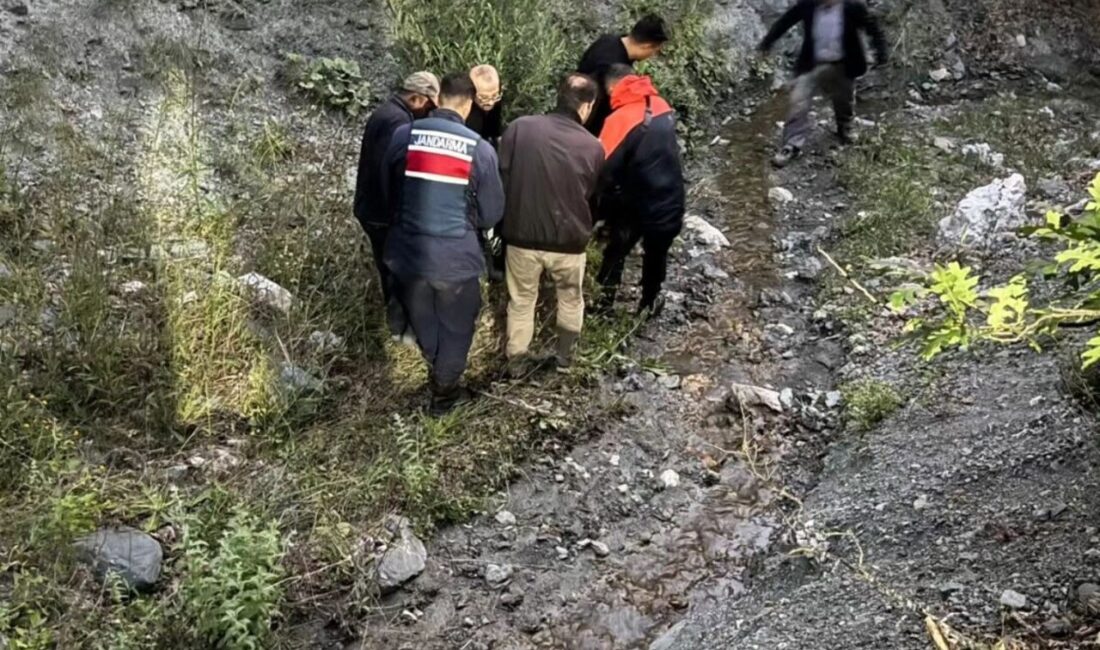 ÇORUM (AA) – Çorum'un Mecitözü ilçesinde hakkında kayıp ihbarı yapılan