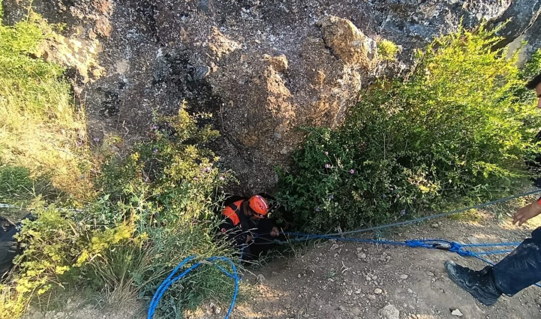 ÇORUM (AA) – Çorum'da izinsiz kazı yapmak için arkadaşlarıyla girdiği