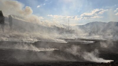 ÇORUM (AA) – Çorum'un Laçin ilçesinde sebze bahçelerinin bulunduğu alanda