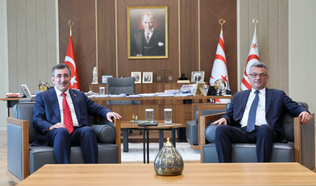 - "Türkiye Cumhuriyeti olarak, Kıbrıs Türk halkının refahının artırılması, üretim