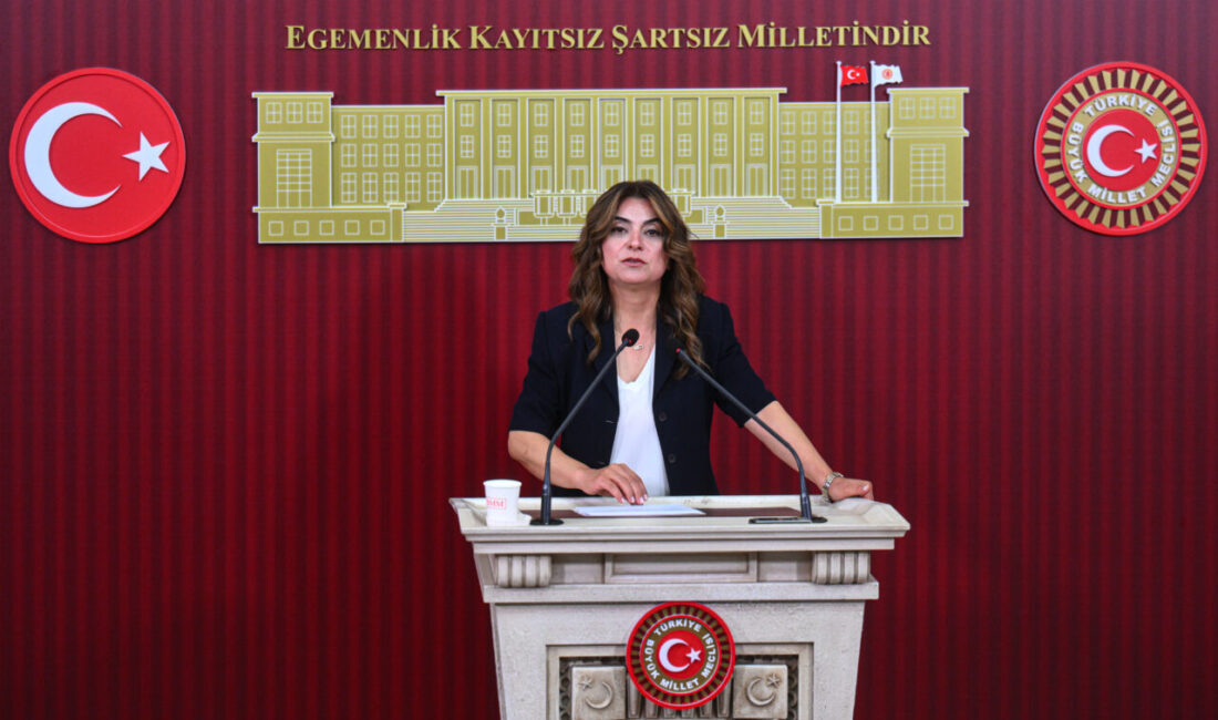 - "İnsanca bir yaşam ücreti olan ki bugün o bile