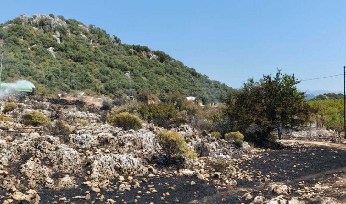 ANTALYA (AA) – Antalya'nın Demre ilçesinde çıkan orman yangını ekiplerin