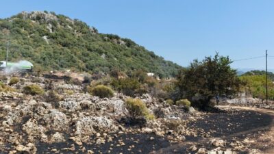 ANTALYA (AA) – Antalya'nın Demre ilçesinde çıkan orman yangını ekiplerin
