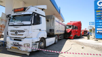 - Yaralanan sürücünün hastanedeki ifadesinde seyir halindeyken arının sokması sonucu