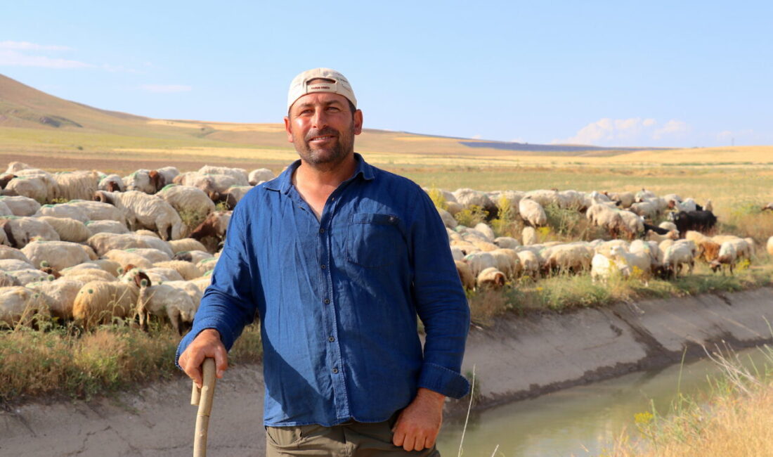 VAN (AA) – Van'ın Tuşba ilçesinde Genç Çiftçi Projesi'nden yararlanarak