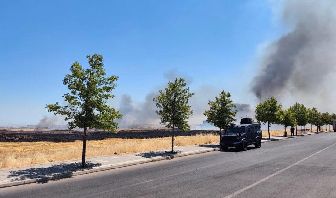 DİYARBAKIR (AA) – Diyarbakır'ın merkez Yenişehir ilçesinde çıkan anız yangını,