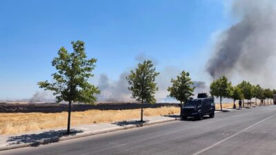 DİYARBAKIR (AA) – Diyarbakır'ın merkez Yenişehir ilçesinde çıkan anız yangını,