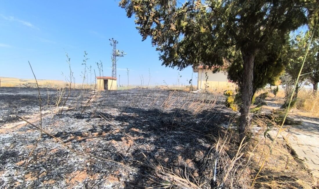 DİYARBAKIR (AA) – Diyarbakır'da çıkan anız yangını itfaiye ekiplerinin müdahalesiyle
