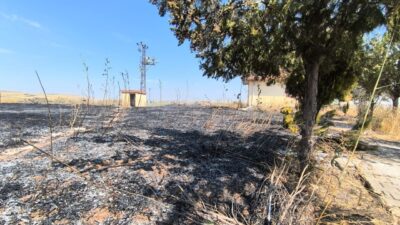 DİYARBAKIR (AA) – Diyarbakır'da çıkan anız yangını itfaiye ekiplerinin müdahalesiyle