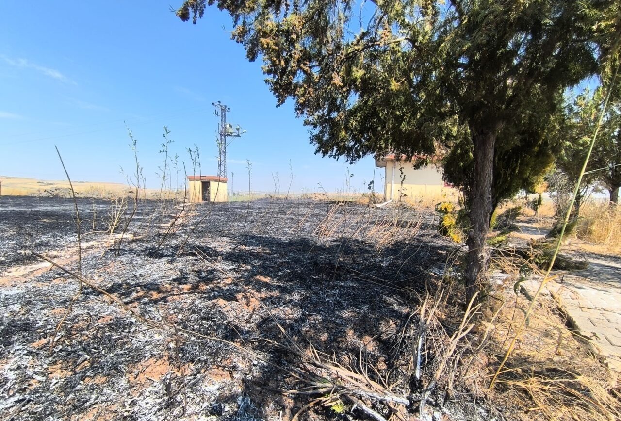 DİYARBAKIR (AA) – Diyarbakır'da çıkan anız yangını itfaiye ekiplerinin müdahalesiyle
