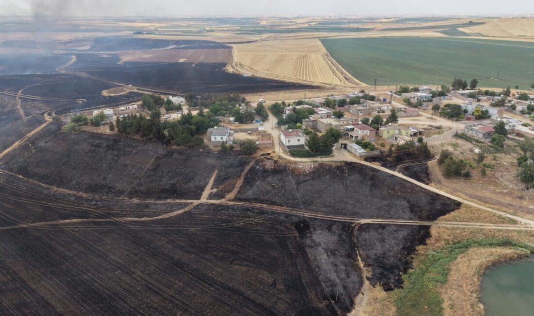 DİYARBAKIR (AA) – Diyarbakır'ın Çınar ilçesinde çıkan anız yangınına ekiplerce