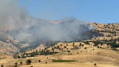 DİYARBAKIR (AA) – Diyarbakır'ın Çüngüş ilçesi kırsalında çıkan örtü ve