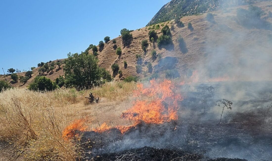 DİYARBAKIR (AA) – Diyarbakır'ın Dicle ilçesinde çıkan örtü yangını kontrol