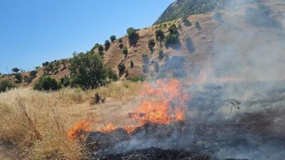 DİYARBAKIR (AA) – Diyarbakır'ın Dicle ilçesinde çıkan örtü yangını kontrol
