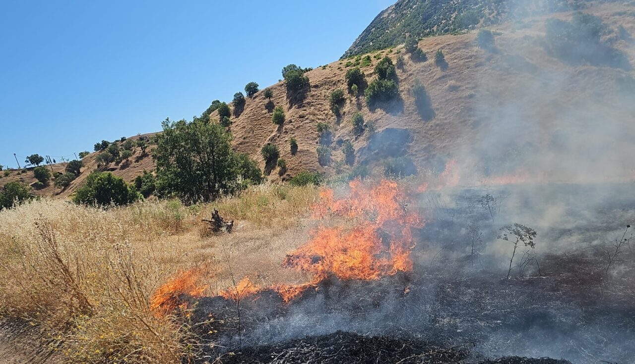 DİYARBAKIR (AA) – Diyarbakır'ın Dicle ilçesinde çıkan örtü yangını kontrol