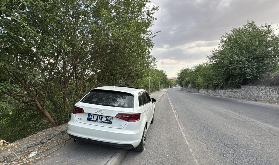 DİYARBAKIR (AA) – Diyarbakır'ın merkez Sur ilçesinde otomobilinde silahlı saldırıya