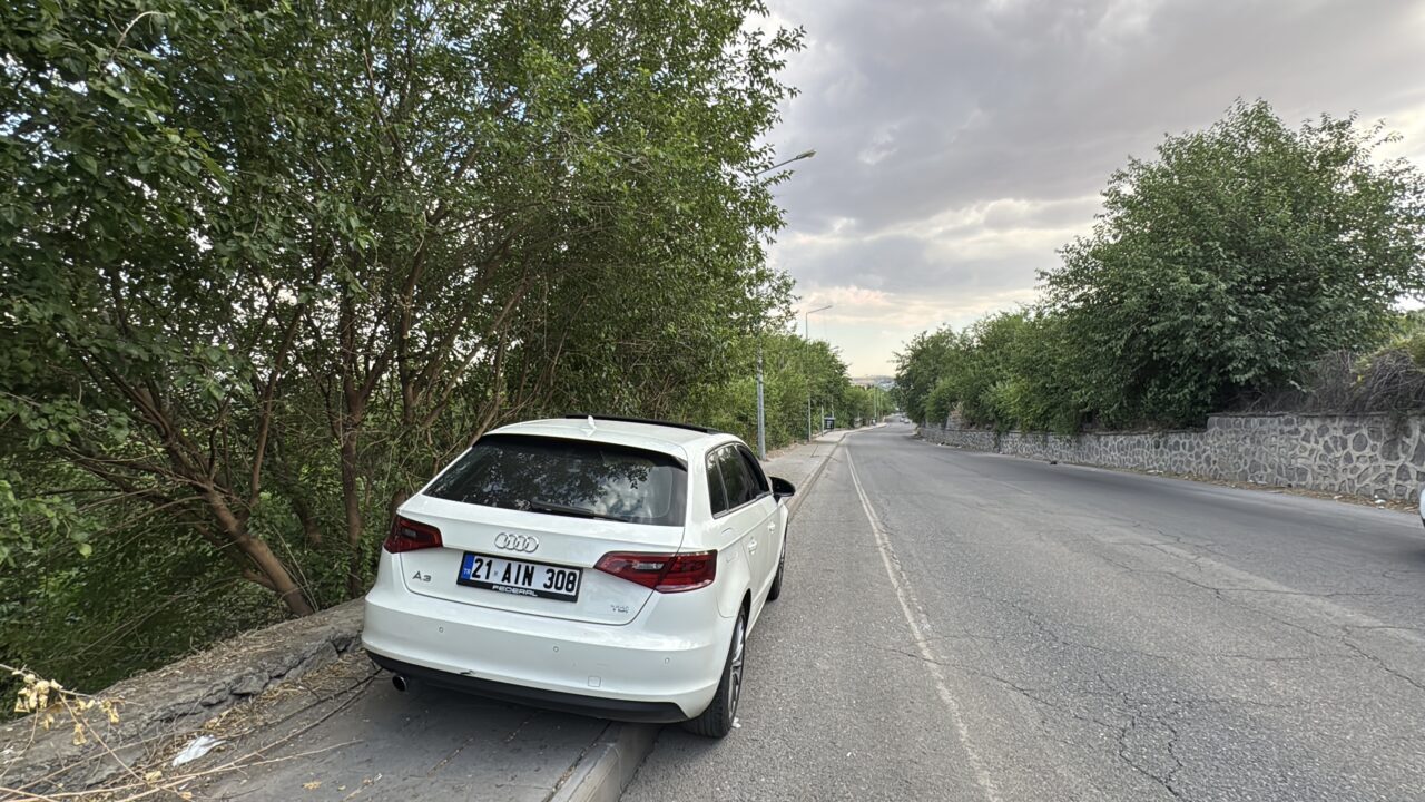 DİYARBAKIR (AA) – Diyarbakır'ın merkez Sur ilçesinde otomobilinde silahlı saldırıya