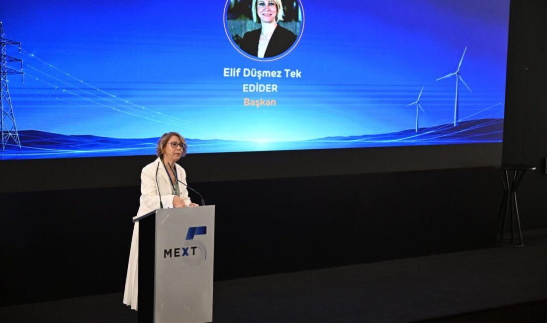 İSTANBUL (AA) – Enerjide Dijitalleşme Derneği (EDİDER) Başkanı Elif Düşmez