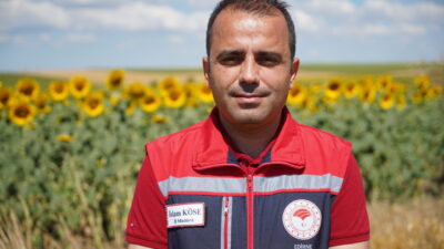 EDİRNE (AA) – Edirne'de ayçiçeği üretiminde yağışların etkisiyle verim beklentisi