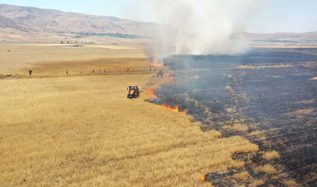 ELAZIĞ (AA) – Elazığ'ın Karakoçan ilçesinde 170 dekarlık otluk arazi