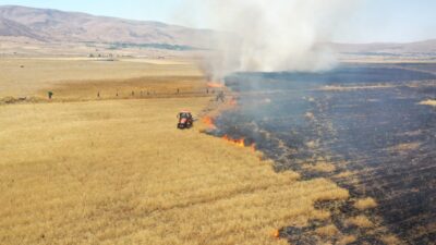 ELAZIĞ (AA) – Elazığ'ın Karakoçan ilçesinde 170 dekarlık otluk arazi