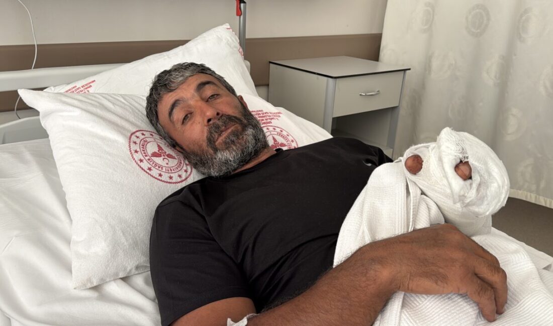 ERZİNCAN (AA) – Erzincan'ın Tercan ilçesinde ayının saldırması sonucu yaralanan