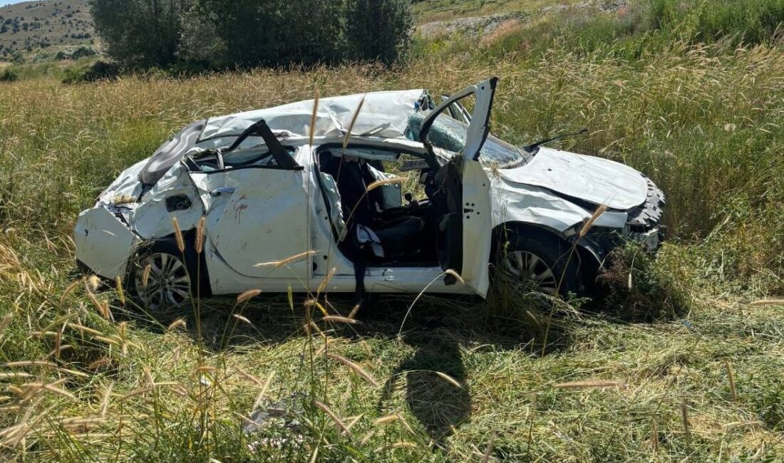 ERZİNCAN (AA) – Erzincan'da tarlaya devrilen otomobildeki 1 kişi hayatını