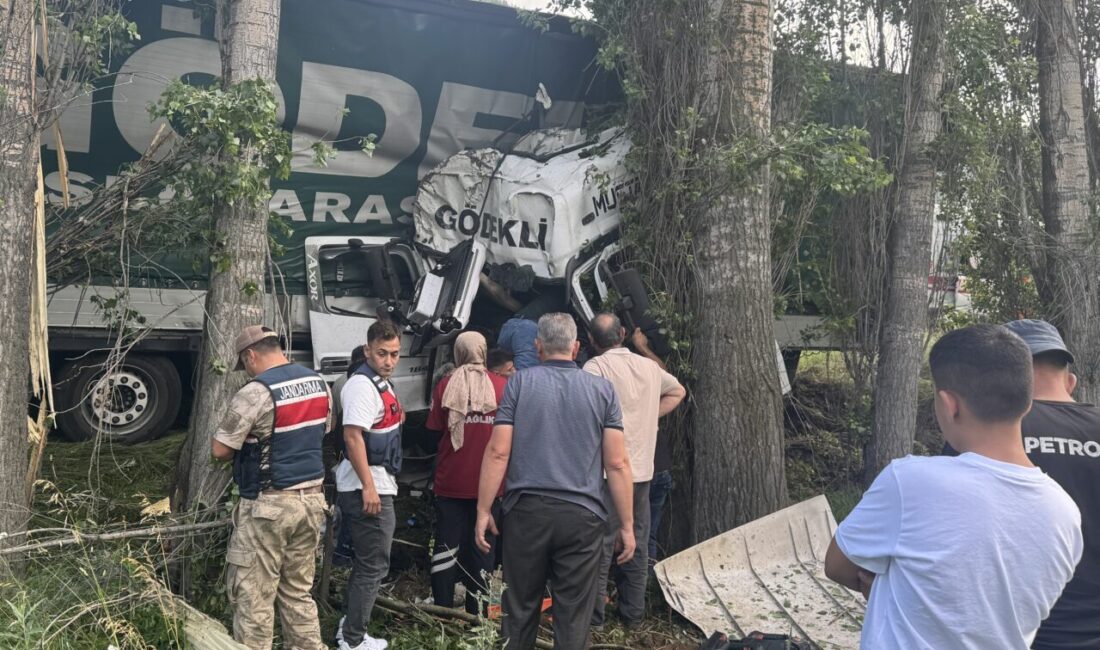 ERZURUM (AA) – Erzurum'da yoldan çıkarak ağaçlara çarpan tırın sürücüsü