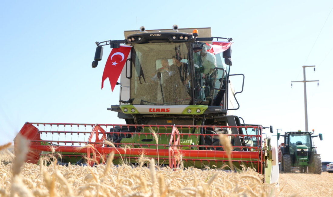 ESKİŞEHİR (AA) – Eskişehir Valisi Erdinç Yılmaz, Sivrihisar ilçesinde düzenlenen